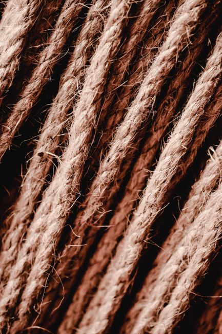 New hemp company creates jobs in South Africa