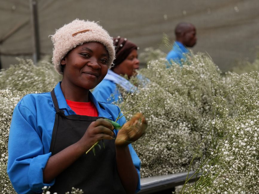 Why farm jobs stay empty even with 8 million unemployed South Africans