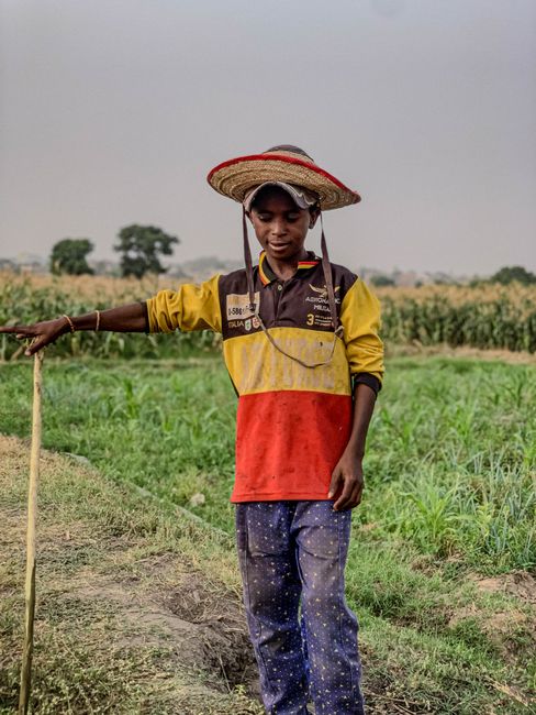 South African Farm Jobs Are Stable and Growing