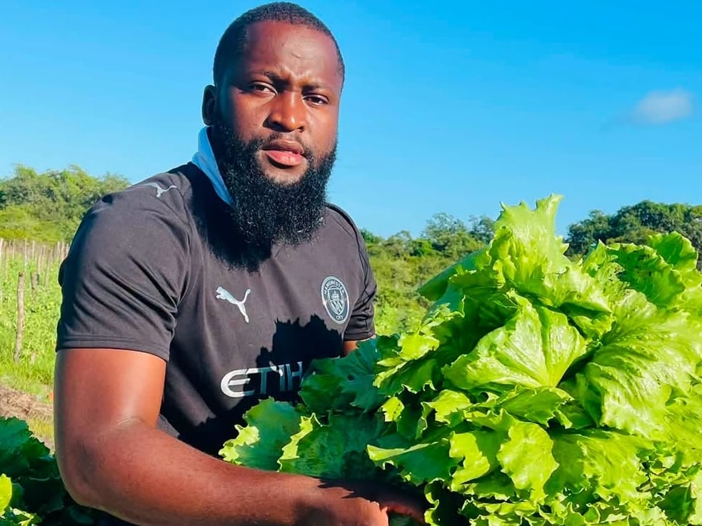 Farming Creates Jobs: A Story from Mpumalanga